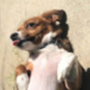 Meet your Posher, Leah